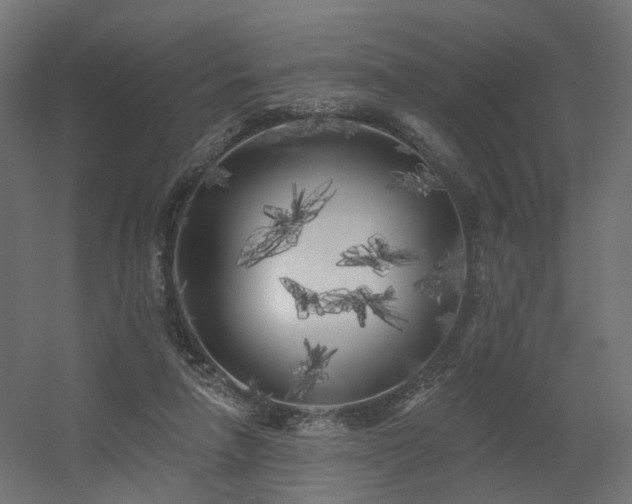 X0000056310258200509021544