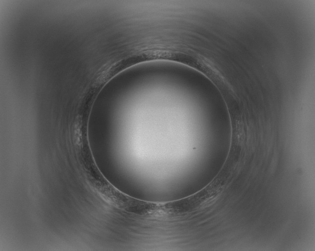 X0000056310259200509021544