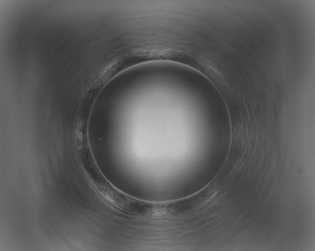 X0000056310264200509021545