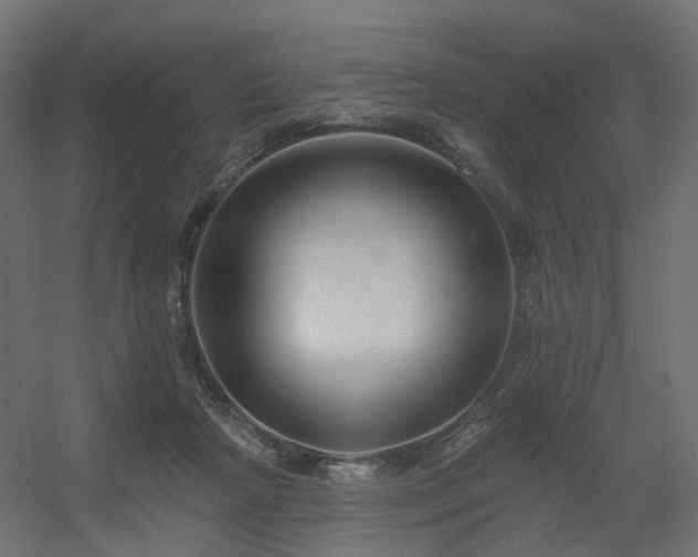 X0000056310265200509021545