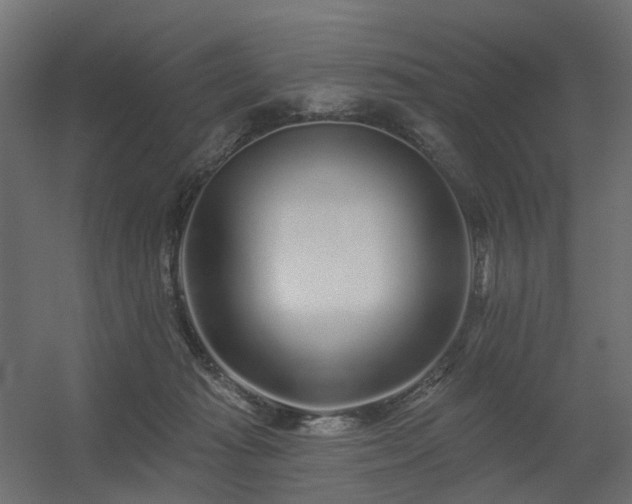X0000056310269200509021545