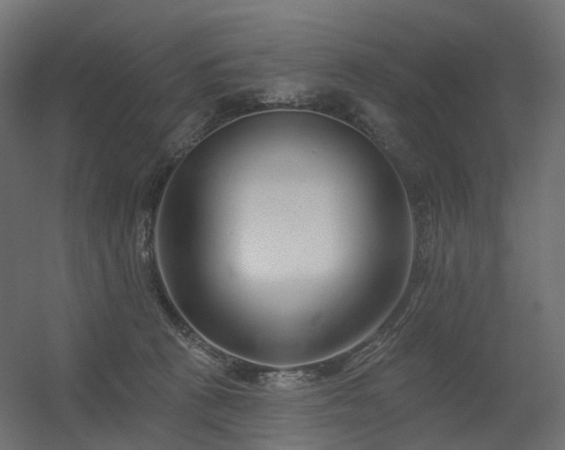 X0000056310273200509021545
