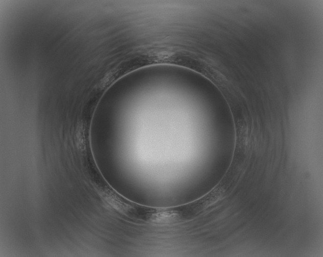 X0000056310274200509021545