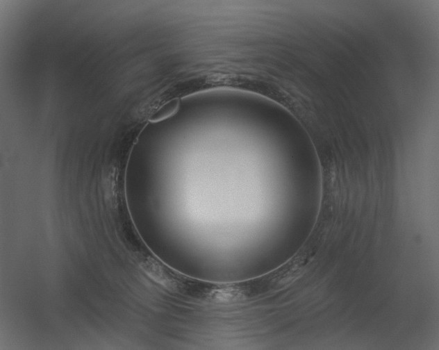X0000056310275200509021545