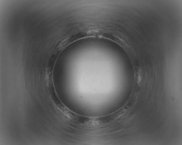 X0000056310276200509021545
