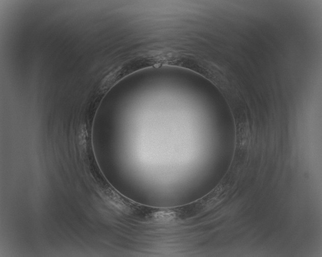 X0000056310279200509021545