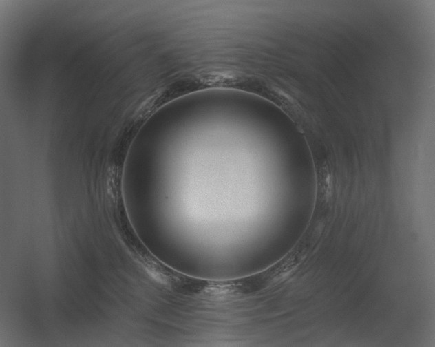 X0000056310280200509021545