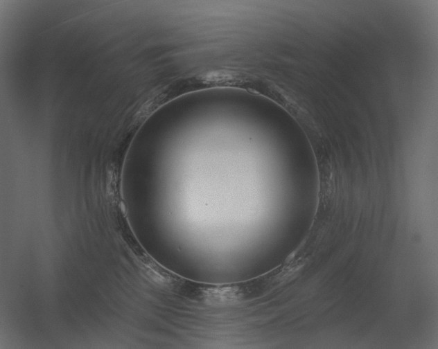 X0000056310281200509021545