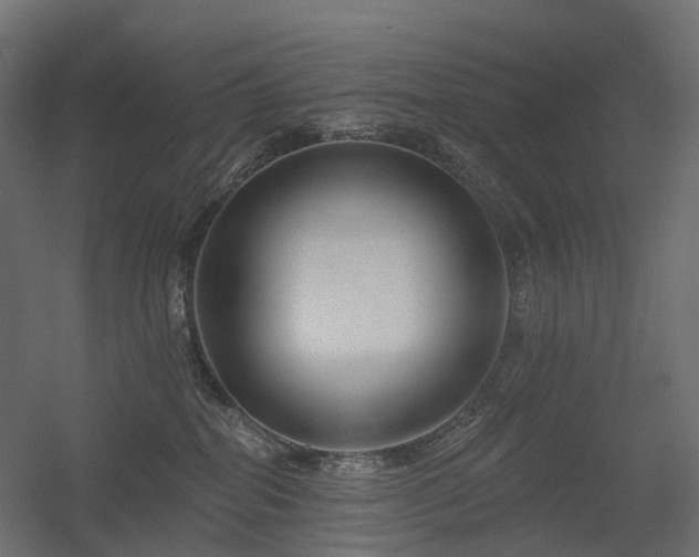 X0000056310282200509021545