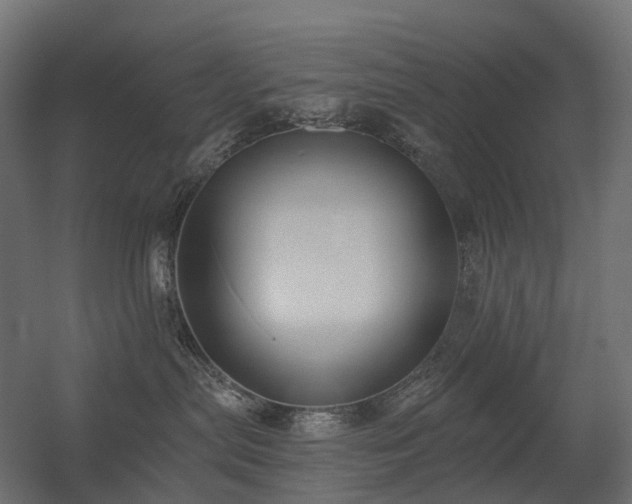 X0000056310287200509021545