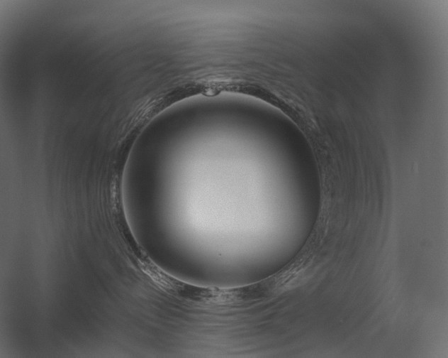 X0000056310288200509021545