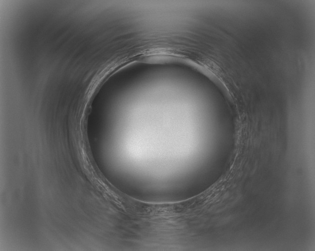 X0000056310289200509021544