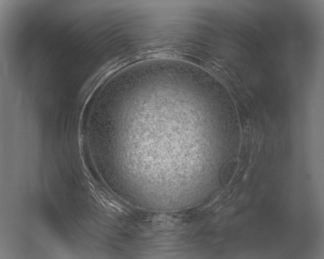 X0000056310290200509021544