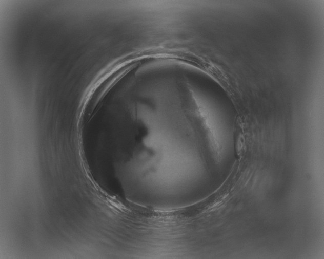 X0000056310295200509021544