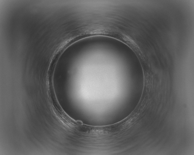 X0000056310298200509021544
