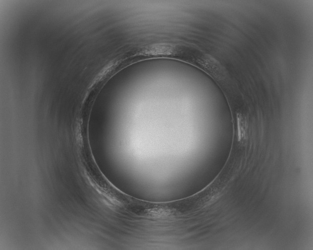 X0000056310300200509021544