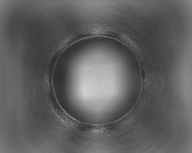 X0000056310306200509021544
