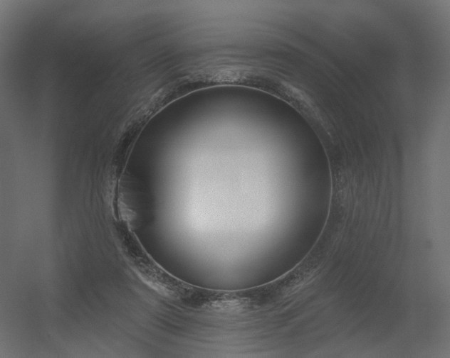 X0000056310307200509021544
