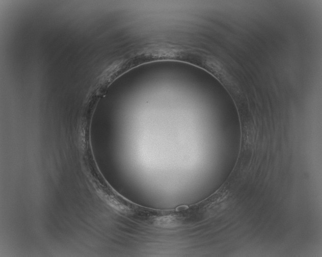 X0000056310309200509021544