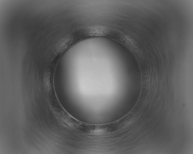 X0000056310312200509021544
