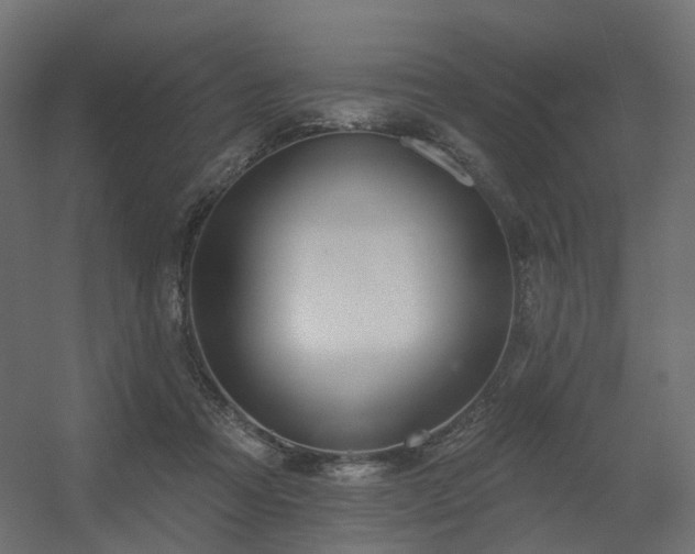 X0000056310313200509021544
