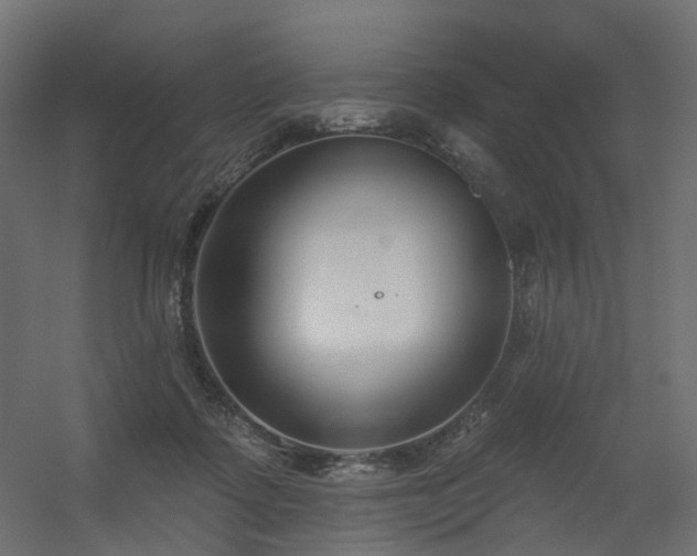 X0000056310315200509021544