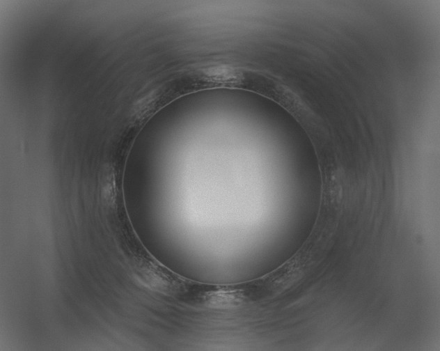 X0000056310320200509021544