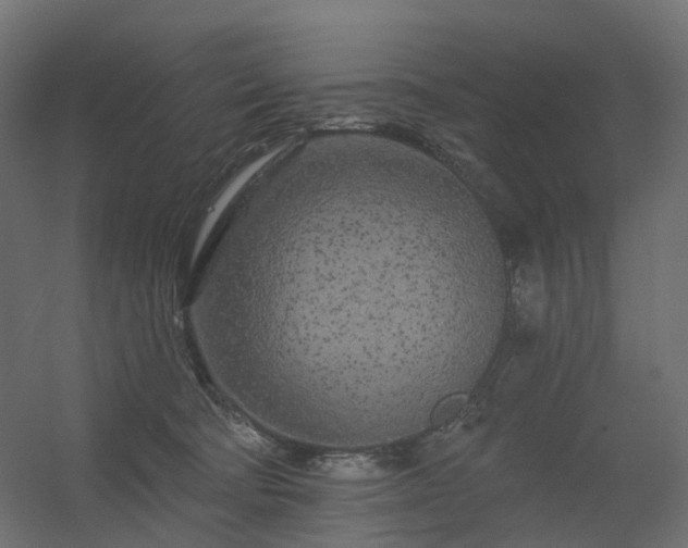 X0000056310322200509021544