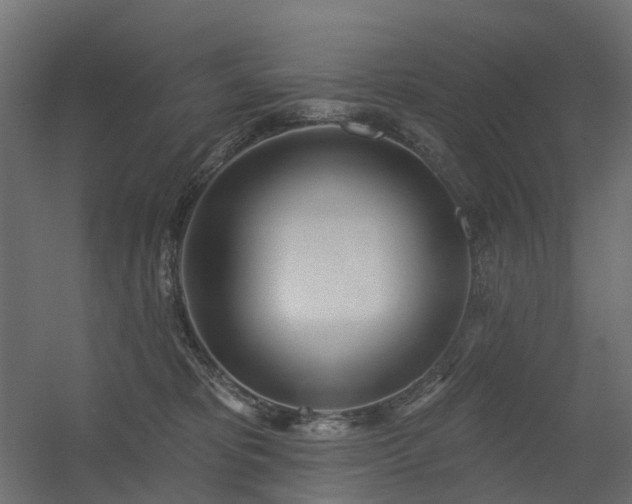 X0000056310325200509021543