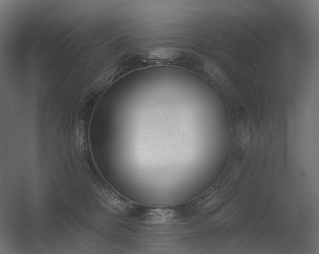 X0000056310328200509021543