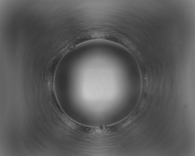 X0000056310329200509021543