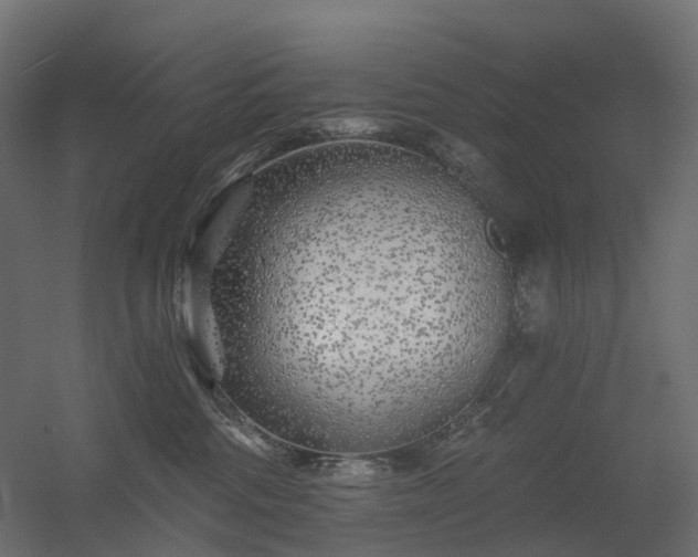 X0000056310330200509021543