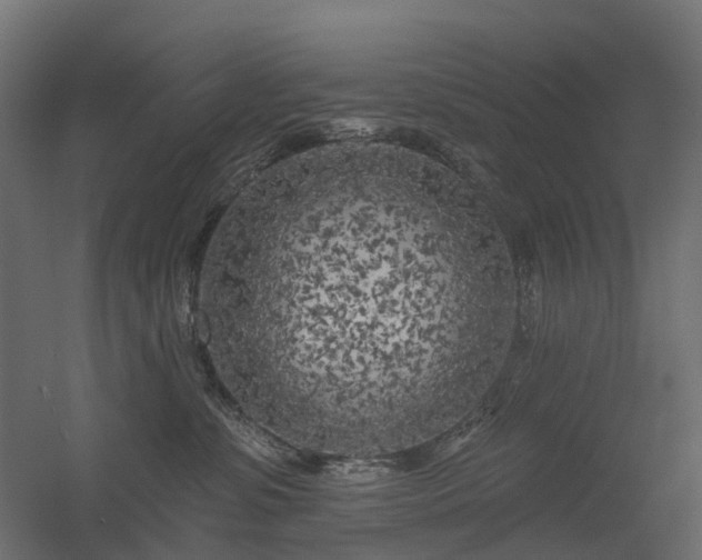 X0000056310331200509021543