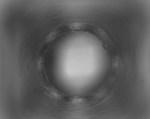 X0000056310332200509021543