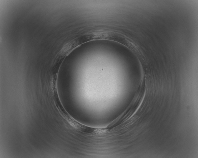 X0000056310333200509021543