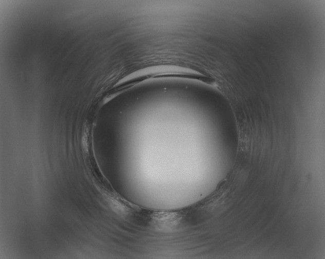 X0000056310334200509021543