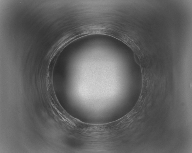 X0000056310338200509021542