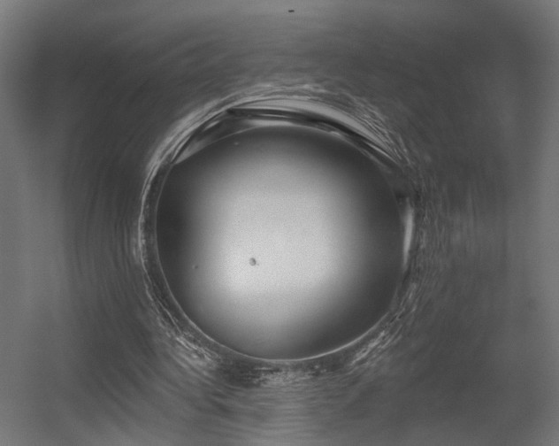 X0000056310340200509021543