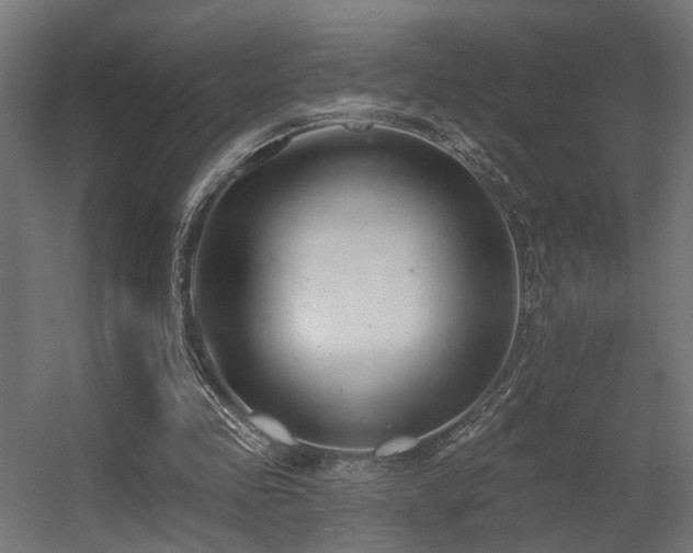 X0000056310341200509021543