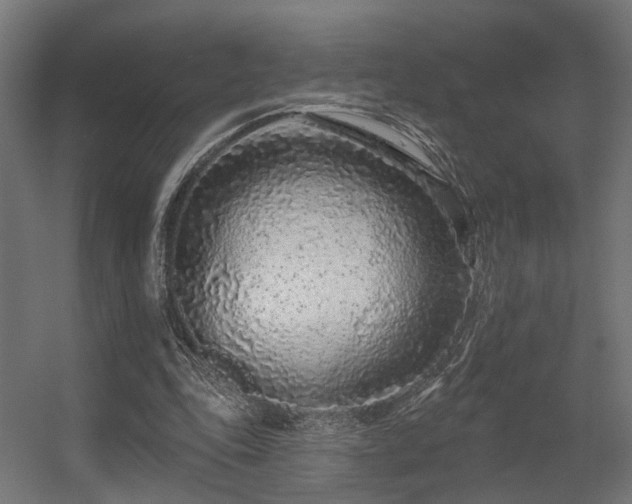 X0000056310343200509021543