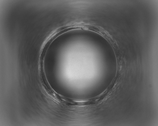 X0000056310344200509021543
