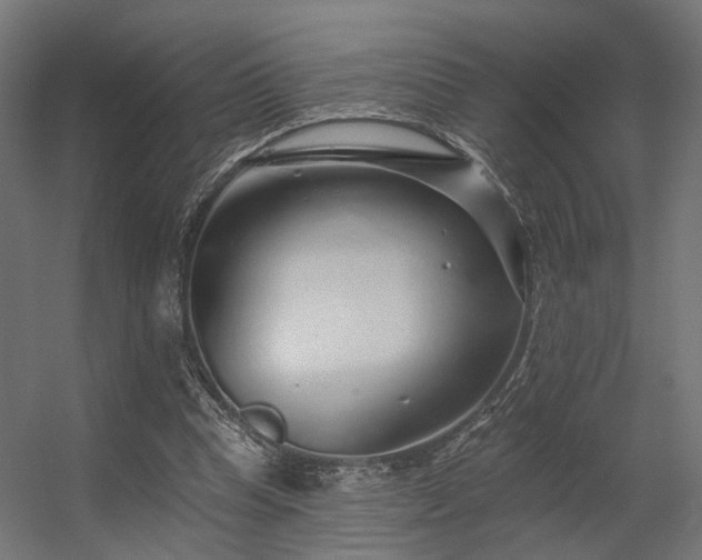 X0000056310345200509021543