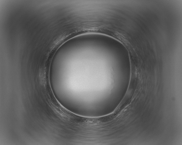 X0000056310346200509021543