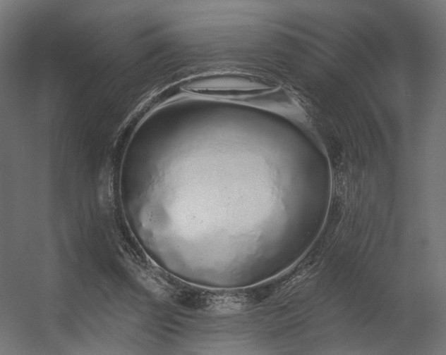 X0000056310347200509021543