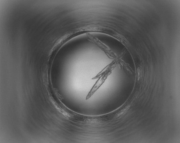 X0000056310349200509021543