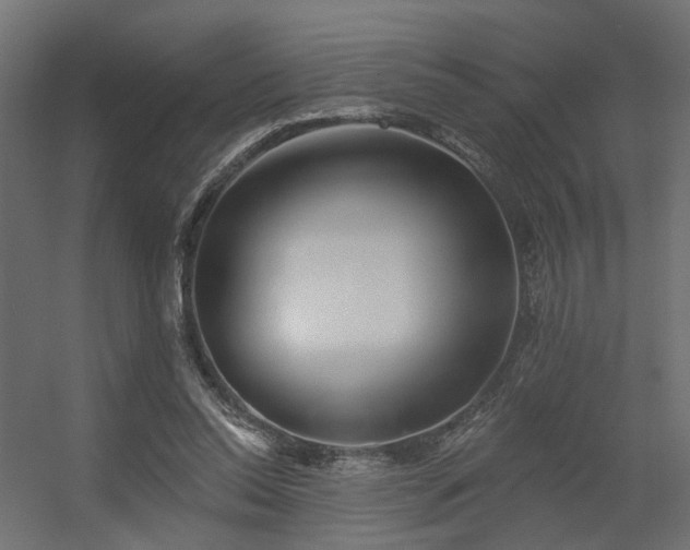 X0000056310350200509021543