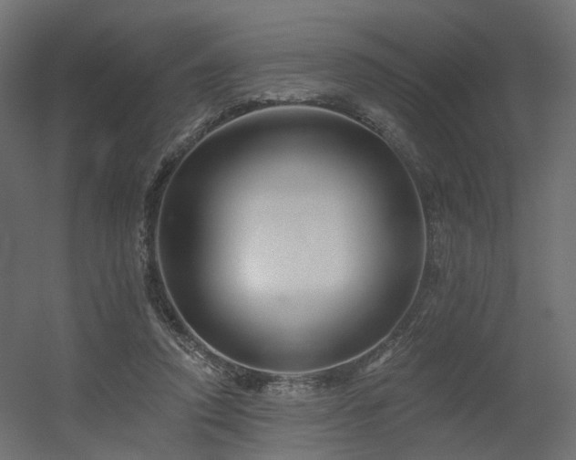 X0000056310354200509021543