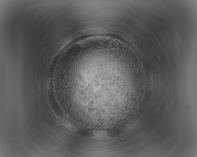 X0000056310355200509021543