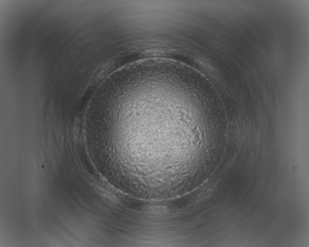 X0000056310361200509021543