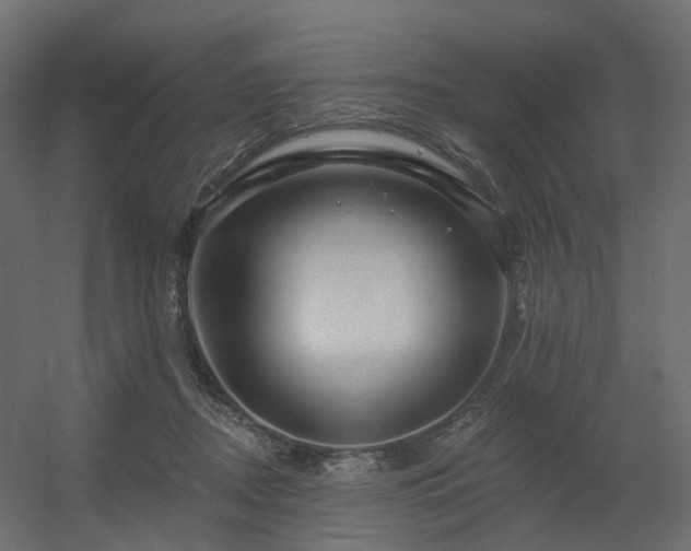 X0000056310362200509021543